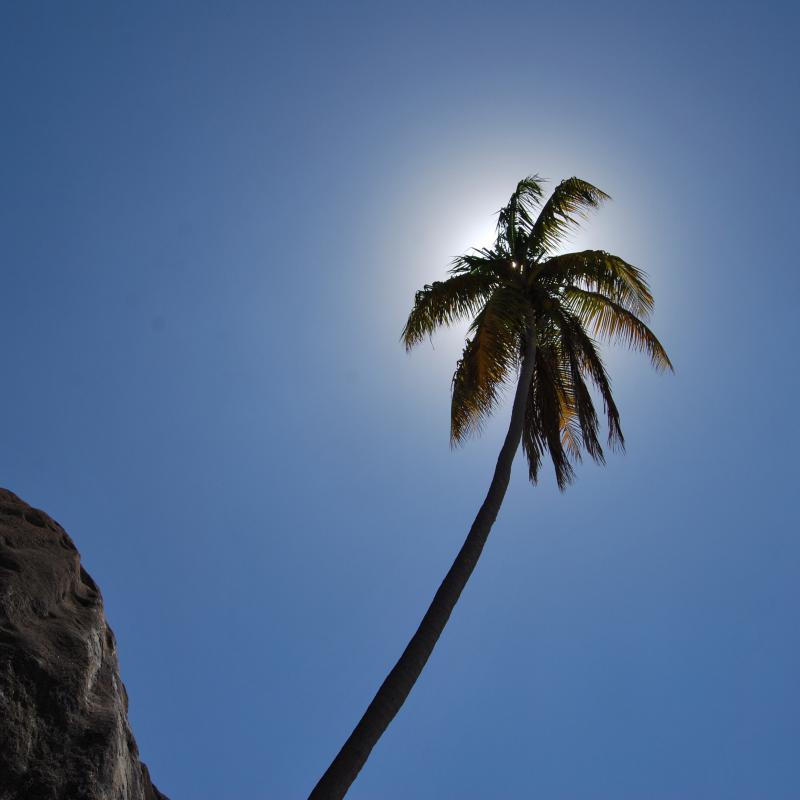 fotogallerie
